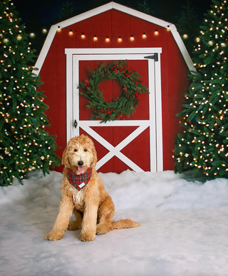 ANIMAL FRIEND {CHRISTMAS TRADITIONS} PREORDER